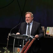 Premios ´Ciutat de Castelló´