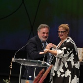 Premios ´Ciutat de Castelló´