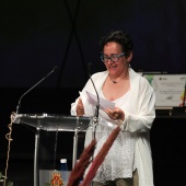 Premios ´Ciutat de Castelló´