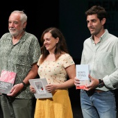 Premios ´Ciutat de Castelló´