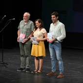 Premios ´Ciutat de Castelló´