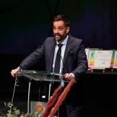 Premios ´Ciutat de Castelló´