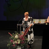 Premios ´Ciutat de Castelló´