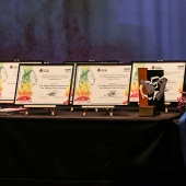 Premios ´Ciutat de Castelló´