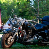 XXXIX Big Twin España