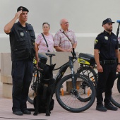 Castellón, 2024