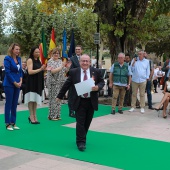 Castellón, 2024