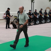 Castellón, 2024