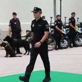 Castellón, 2024