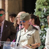 Castellón, 2024