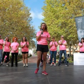 X Marcha Contra el Cáncer de Mama