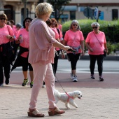 X Marcha Contra el Cáncer de Mama