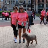 X Marcha Contra el Cáncer de Mama
