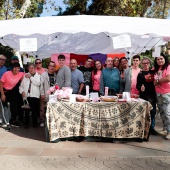 X Marcha Contra el Cáncer de Mama