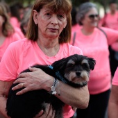 X Marcha Contra el Cáncer de Mama