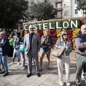 Tercios Españoles