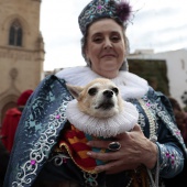 Tercios Españoles