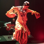 II Festival de Flamenco