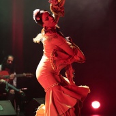 II Festival de Flamenco