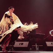 II Festival de Flamenco