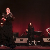II Festival de Flamenco