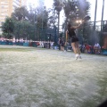 Benicàssim, Torneo Internacional de Pádel 2011