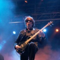 FIB HEINEKEN 2009. The Psychedelic Furs