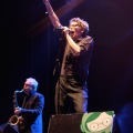 FIB HEINEKEN 2009. The Psychedelic Furs