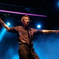 FIB HEINEKEN 2009. The Psychedelic Furs