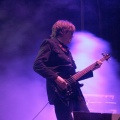 FIB HEINEKEN 2009. The Psychedelic Furs