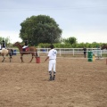 Club Hípico Mediterráneo, Burriana, Castellón