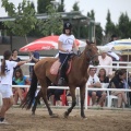 Club Hípico Mediterráneo, Burriana, Castellón