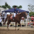 Club Hípico Mediterráneo, Burriana, Castellón