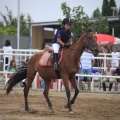 Club Hípico Mediterráneo, Burriana, Castellón