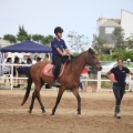 Club Hípico Mediterráneo, Burriana, Castellón