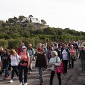 Marxa a peu per les Ermites