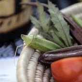 Showcooking internacional de arroces