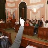 Consejo Municipal Infancia y Adolescencia