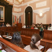 Consejo Municipal Infancia y Adolescencia