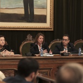 Consejo Social de Castellón