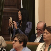 Consejo Social de Castellón