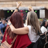 V Vermut Solidario
