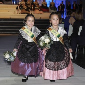 Gaiata 17 Tir de Colom