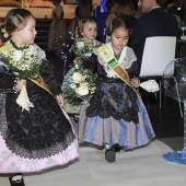 Gaiata 17 Tir de Colom