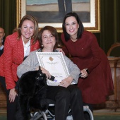 Reconocimiento maestros y profesores