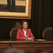 Reconocimiento maestros y profesores