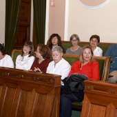 Reconocimiento maestros y profesores