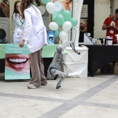 IV Mercat del Raval