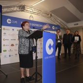 X Premios GastroCope Castellón