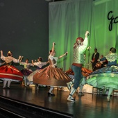 Gaiata 14 Castalia